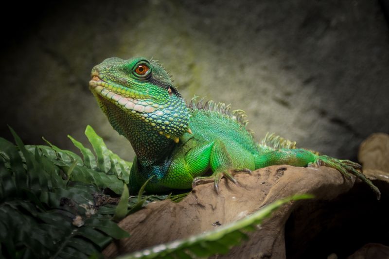 2014-03-08-Fotocursus-Avonturia-17