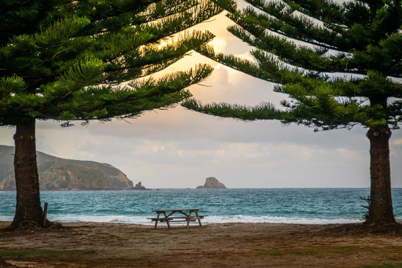 2015-02-24-New-Zealand-29