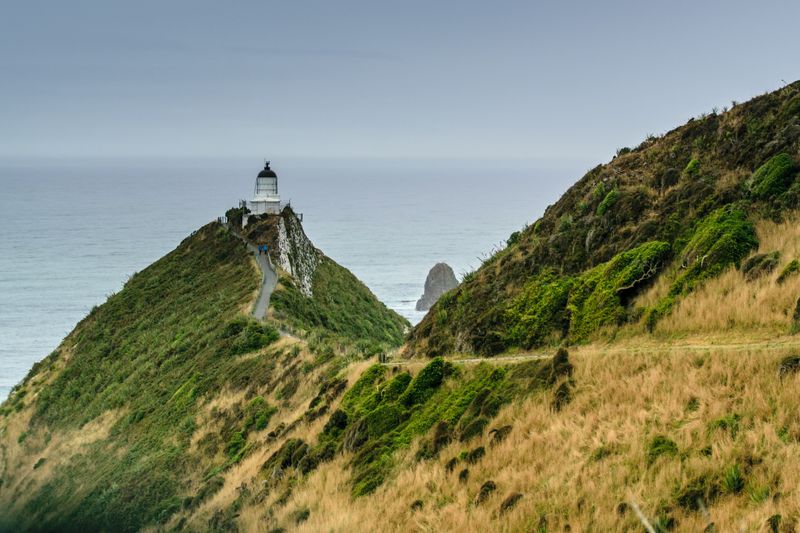 2015-03-21-New-Zealand-803