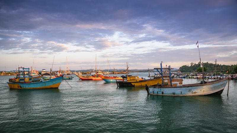 2016-01-02-Sri-Lanka-38