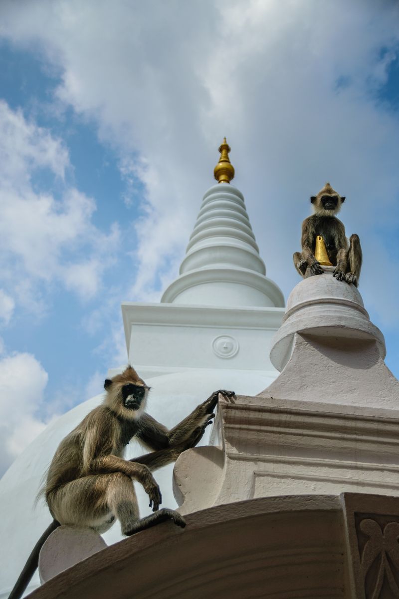 2016-01-12-Sri-Lanka-237