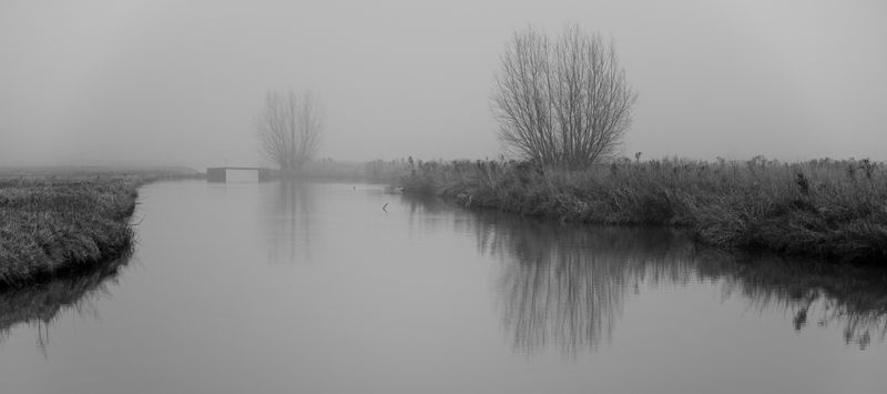 2021-01-02-untitled-15