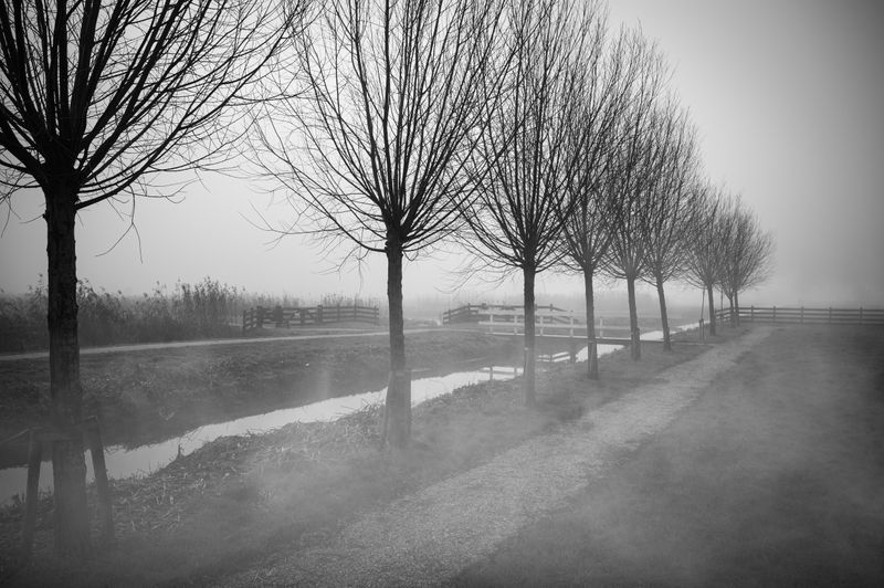 2021-01-02-untitled-56-Edit